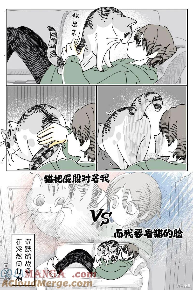 第203话-关于养猫我一直是新手-キュルZ（第3张）