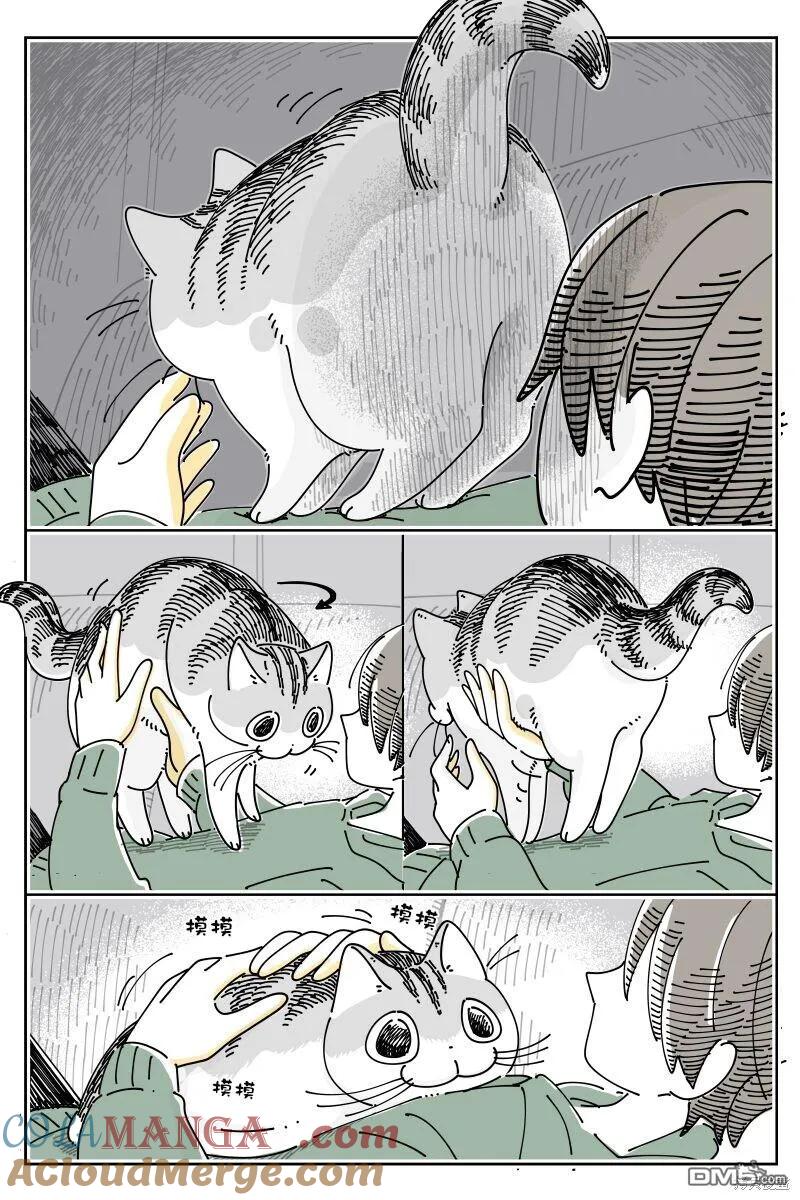 第203话-关于养猫我一直是新手-キュルZ（第2张）