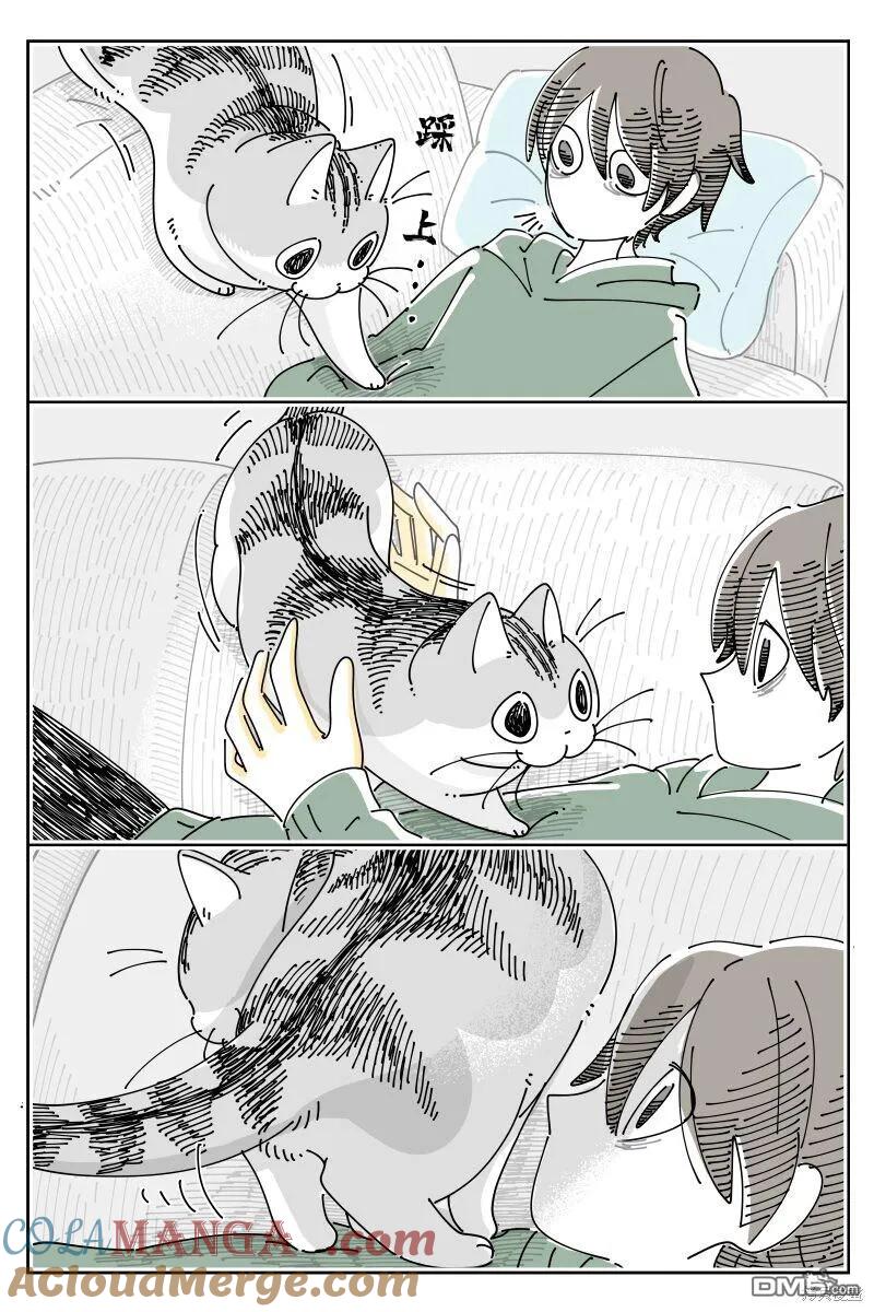 第203话-关于养猫我一直是新手-キュルZ（第1张）
