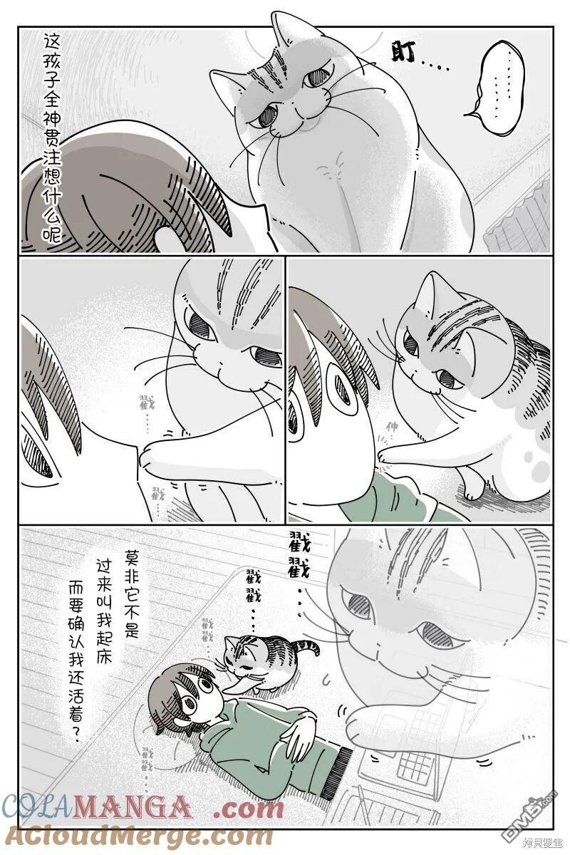 第204话-关于养猫我一直是新手-キュルZ（第2张）