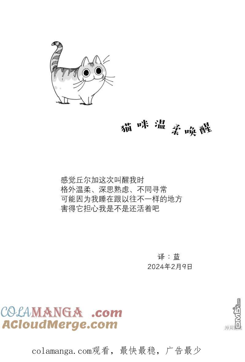 第204话-关于养猫我一直是新手-キュルZ（第3张）