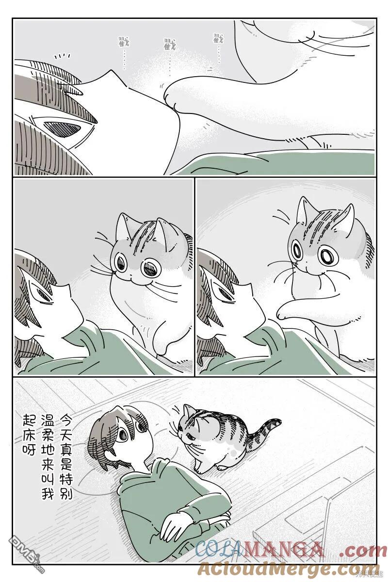 第204话-关于养猫我一直是新手-キュルZ（第1张）