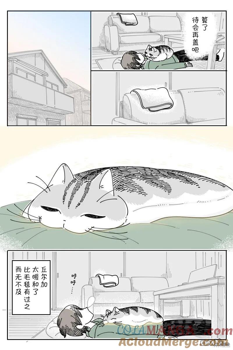 第205话-关于养猫我一直是新手-キュルZ（第2张）