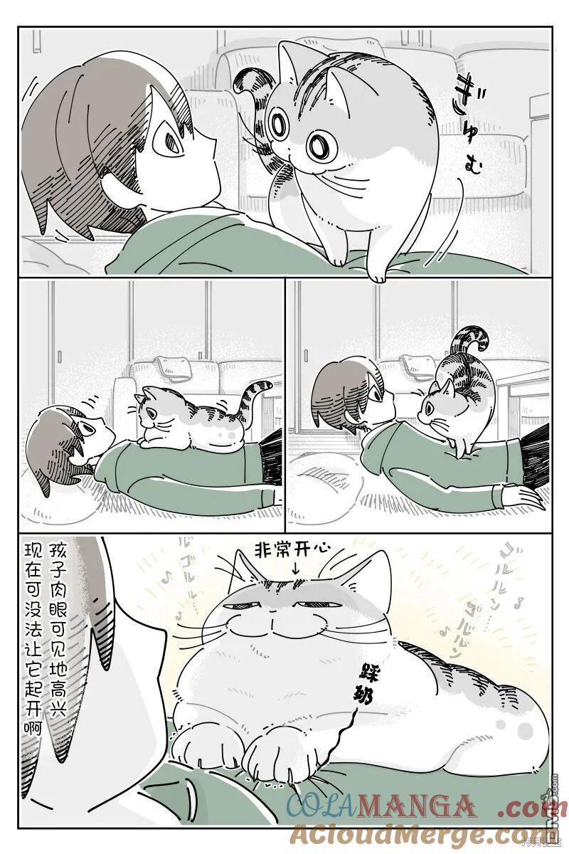 第205话-关于养猫我一直是新手-キュルZ（第1张）