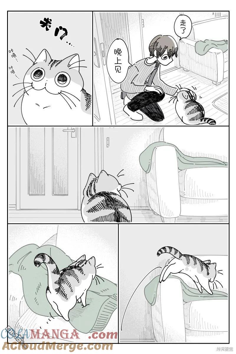 第206话-关于养猫我一直是新手-キュルZ（第1张）