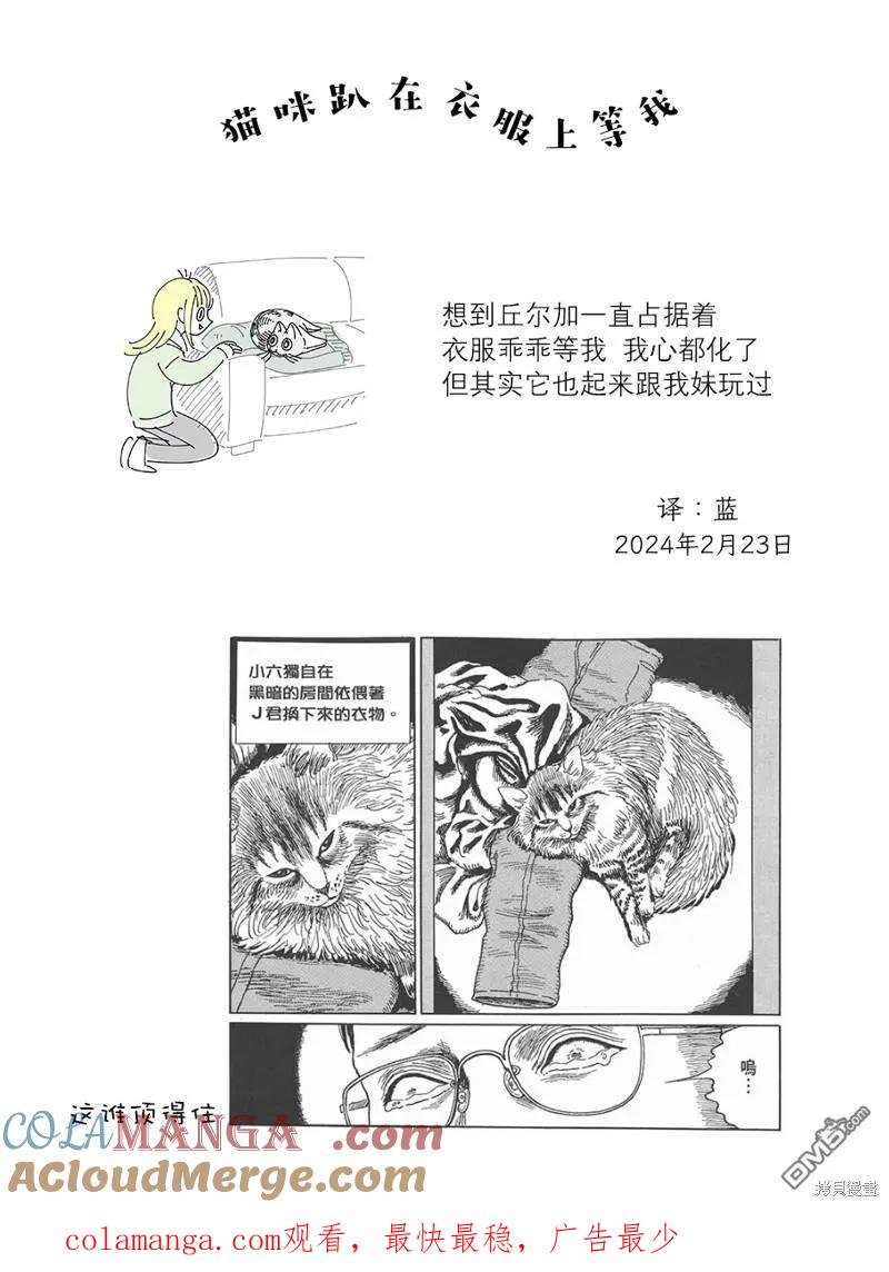 第206话-关于养猫我一直是新手-キュルZ（第4张）