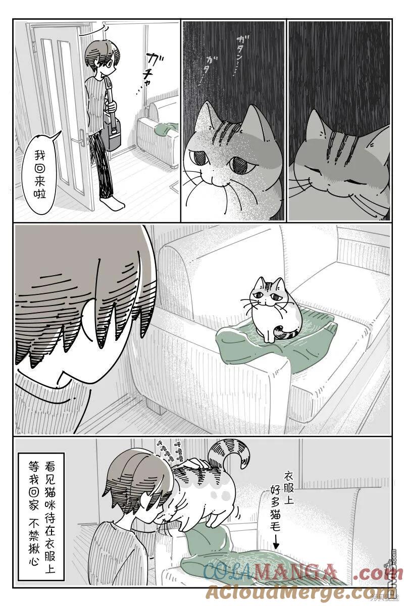 第206话-关于养猫我一直是新手-キュルZ（第3张）