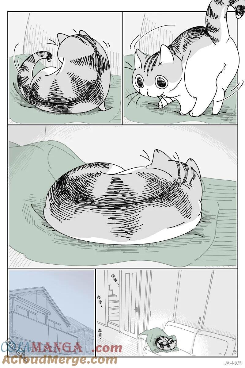 第206话-关于养猫我一直是新手-キュルZ（第2张）