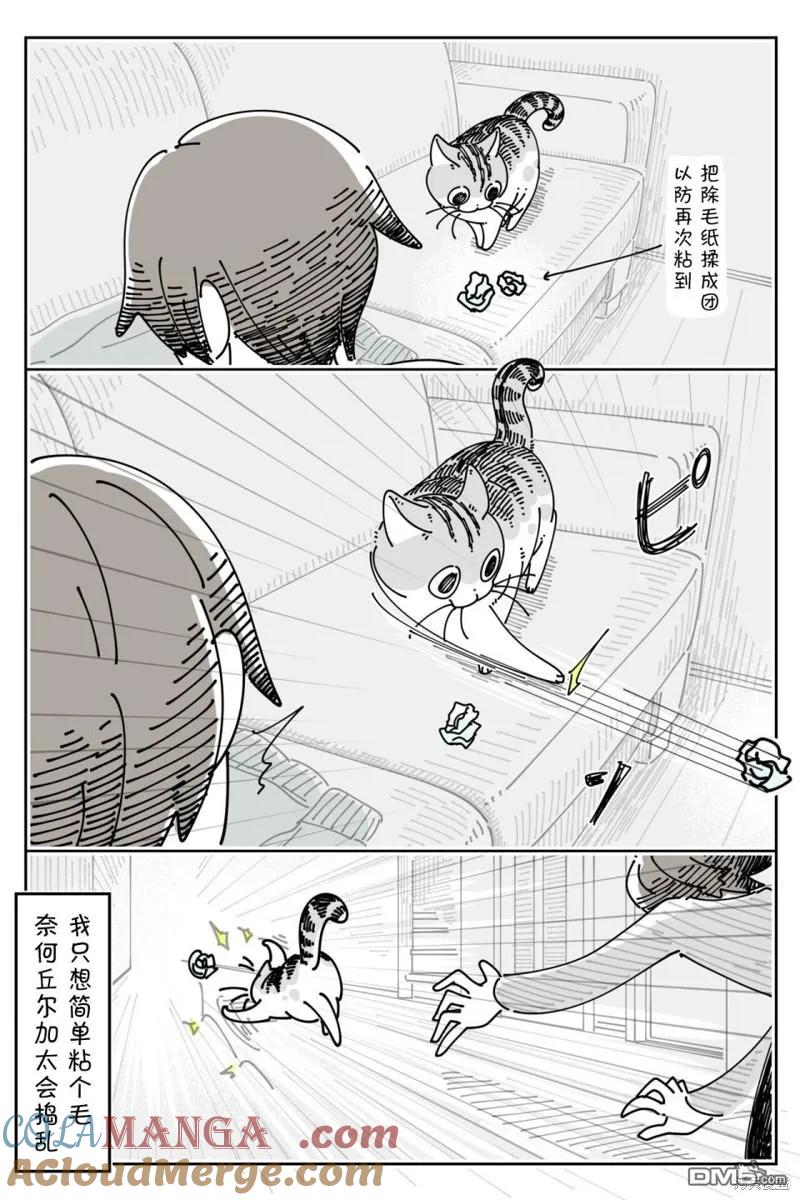 第207话-关于养猫我一直是新手-キュルZ（第3张）