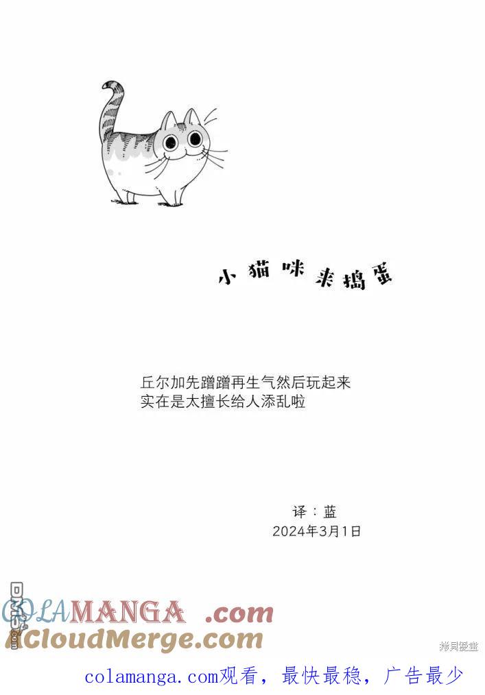 第207话-关于养猫我一直是新手-キュルZ（第4张）