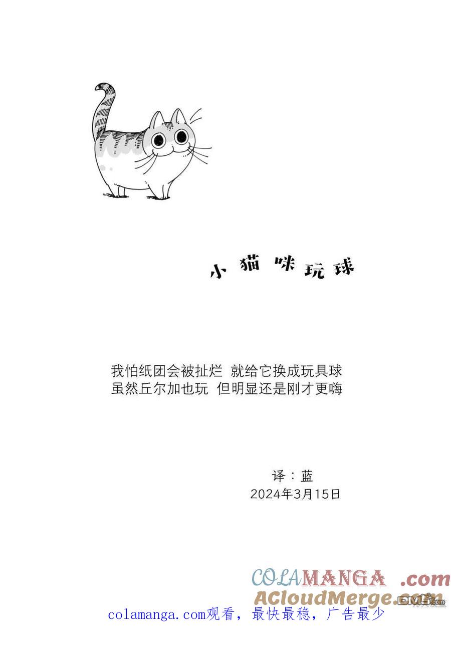 第208话-关于养猫我一直是新手-キュルZ（第3张）
