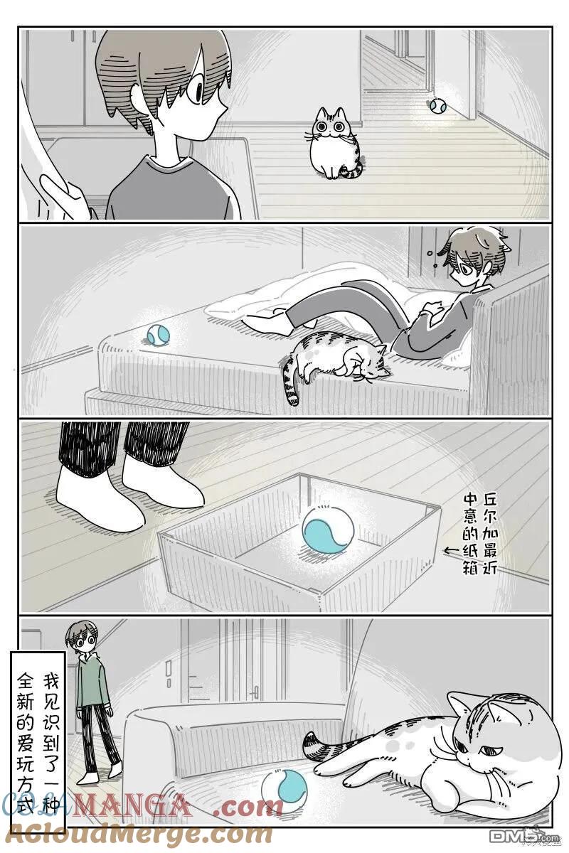 第209话-关于养猫我一直是新手-キュルZ（第2张）