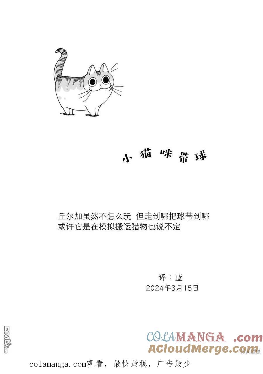 第209话-关于养猫我一直是新手-キュルZ（第3张）