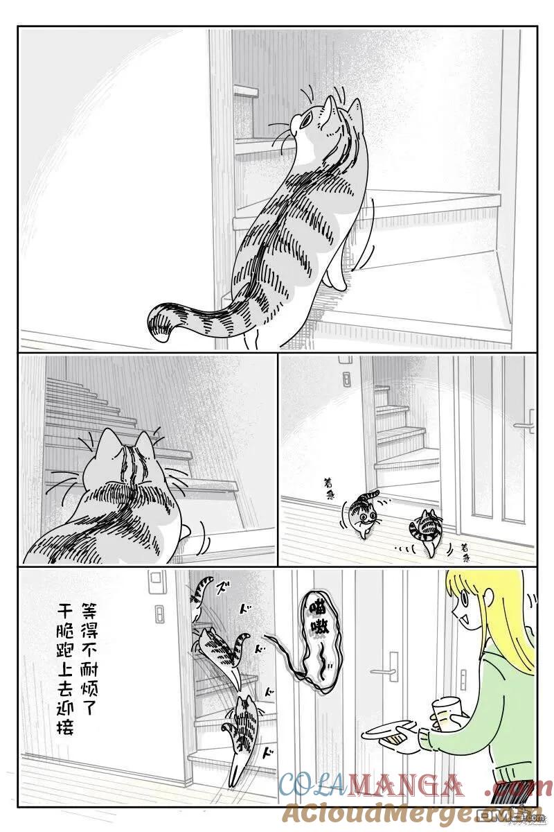 第210话-关于养猫我一直是新手-キュルZ（第2张）