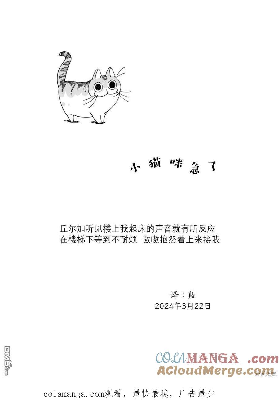 第210话-关于养猫我一直是新手-キュルZ（第3张）