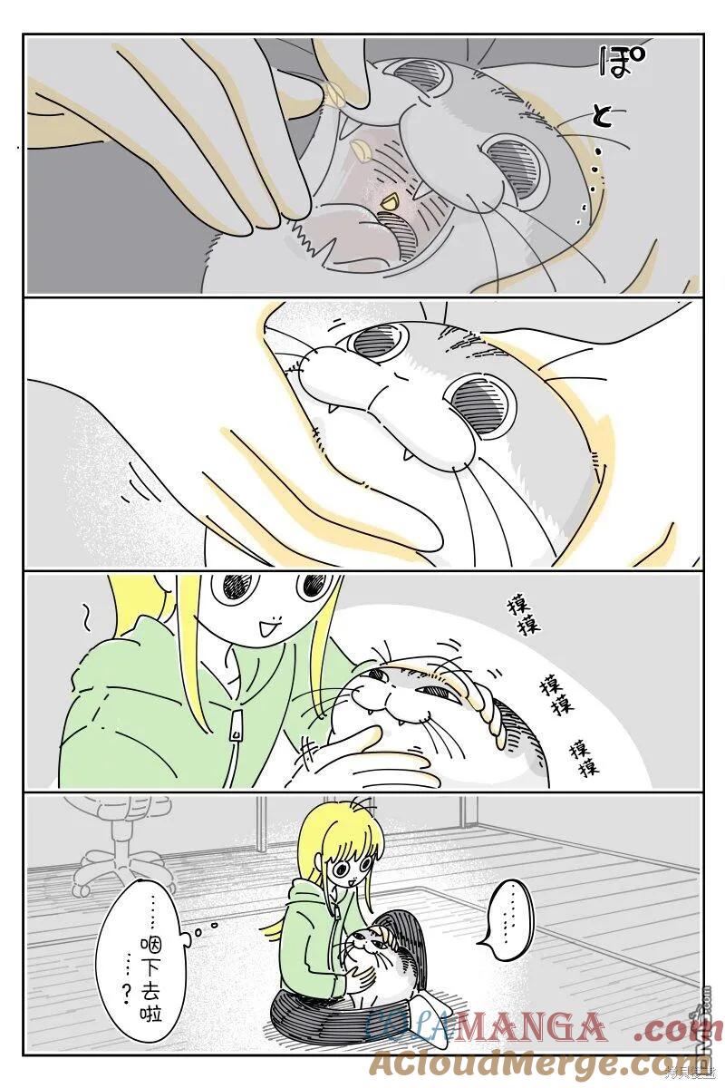 第211话-关于养猫我一直是新手-キュルZ（第1张）