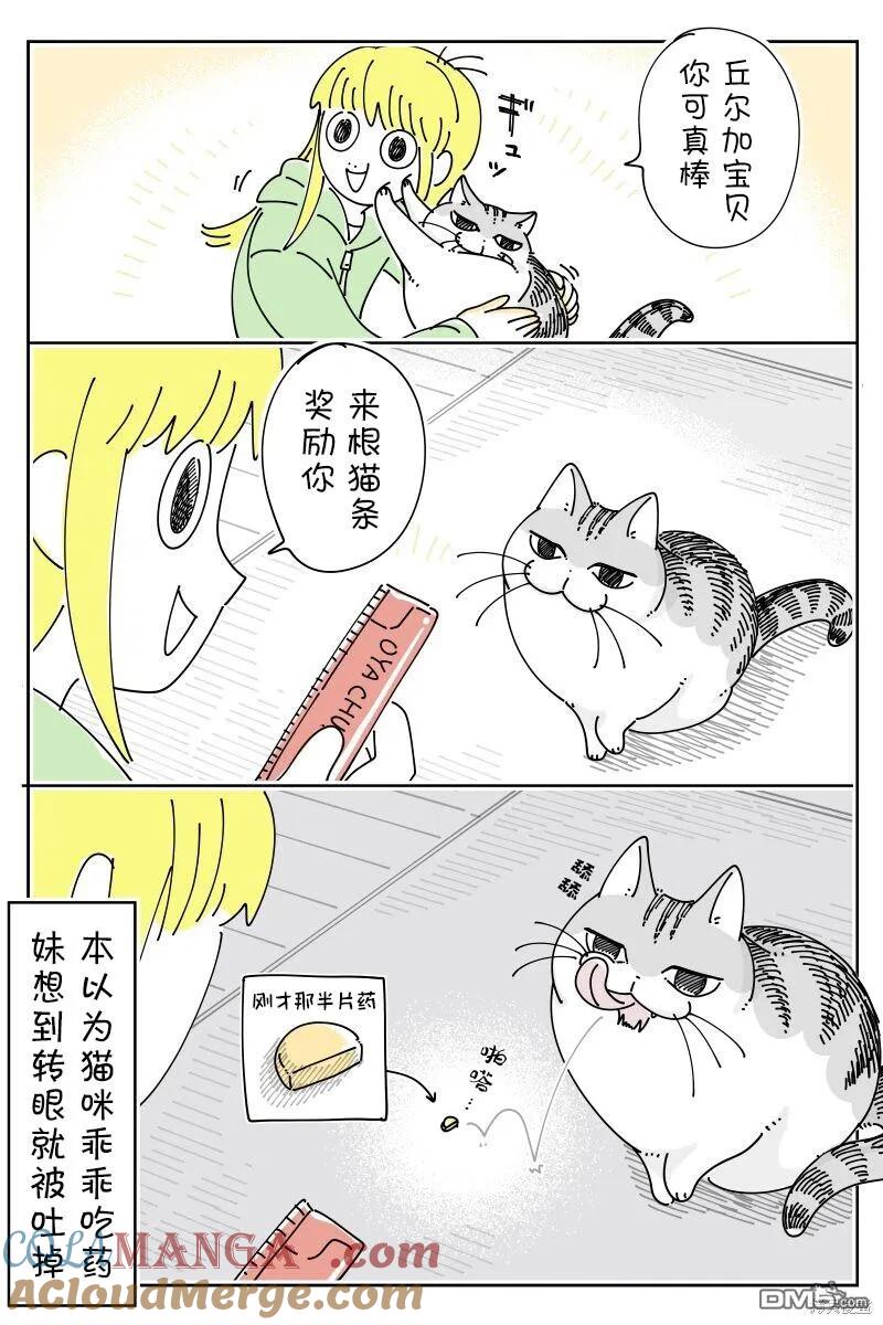 第211话-关于养猫我一直是新手-キュルZ（第2张）