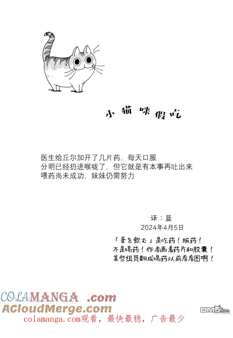 第211话-关于养猫我一直是新手-キュルZ（第3张）