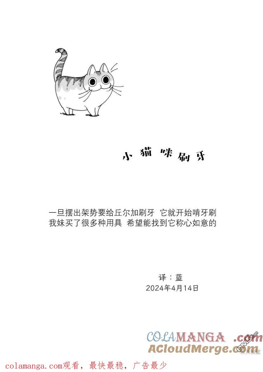 第212话-关于养猫我一直是新手-キュルZ（第3张）