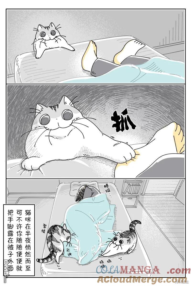 第213话-关于养猫我一直是新手-キュルZ（第2张）