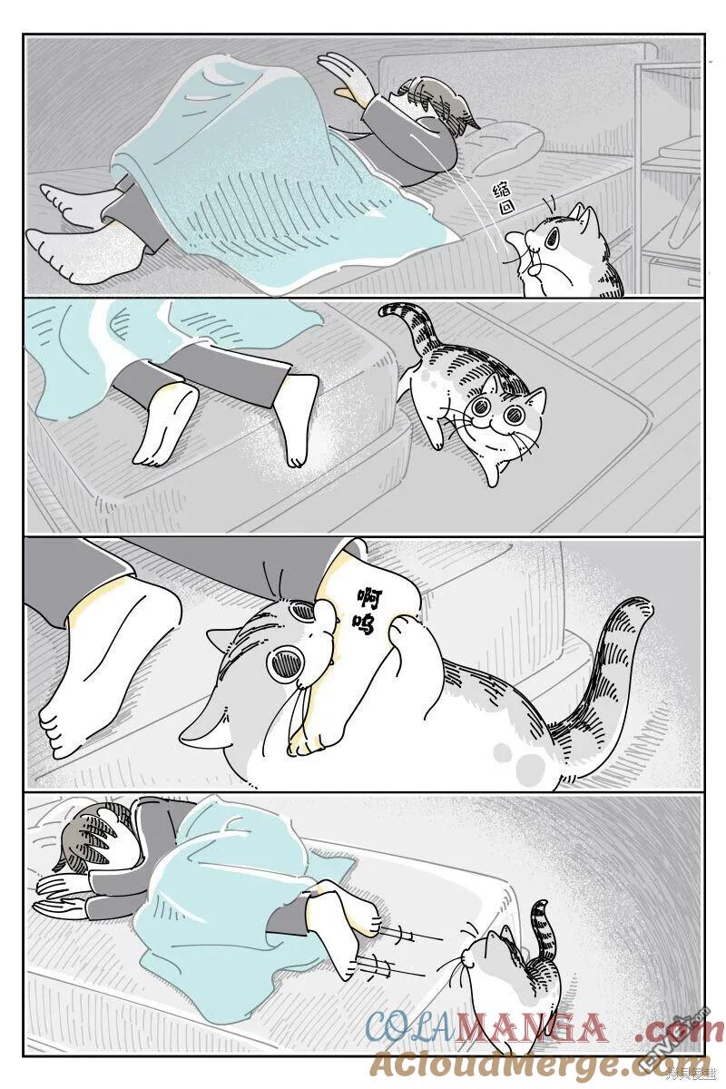 第213话-关于养猫我一直是新手-キュルZ（第1张）