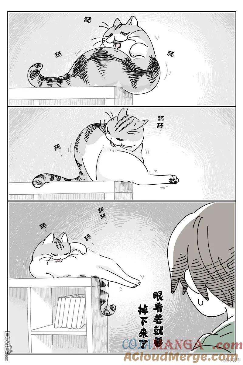 第215话-关于养猫我一直是新手-キュルZ（第1张）