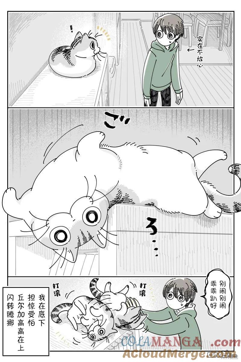 第215话-关于养猫我一直是新手-キュルZ（第2张）