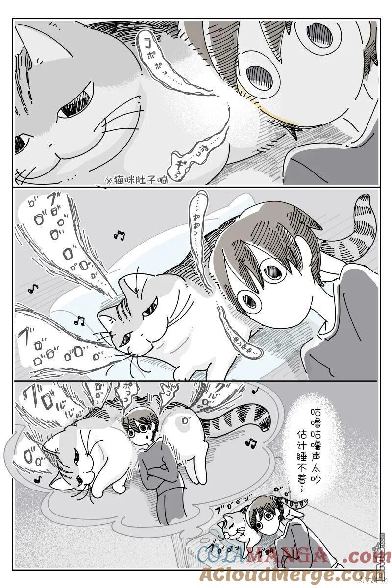 第216话-关于养猫我一直是新手-キュルZ（第2张）