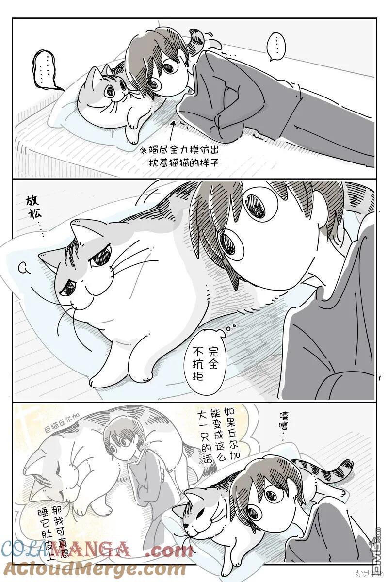 第216话-关于养猫我一直是新手-キュルZ（第1张）