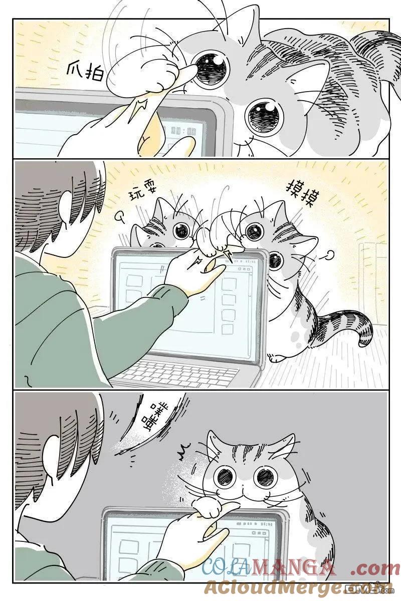第217话-关于养猫我一直是新手-キュルZ（第1张）