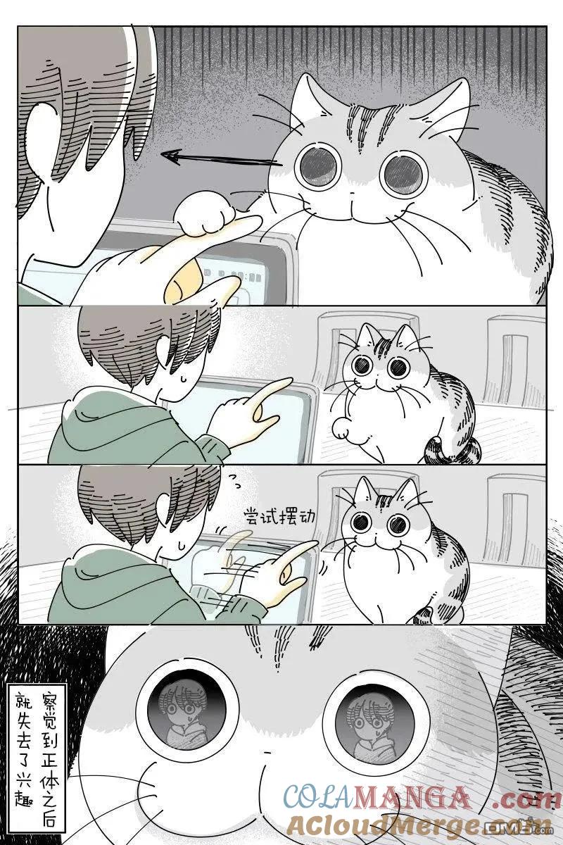 第217话-关于养猫我一直是新手-キュルZ（第2张）