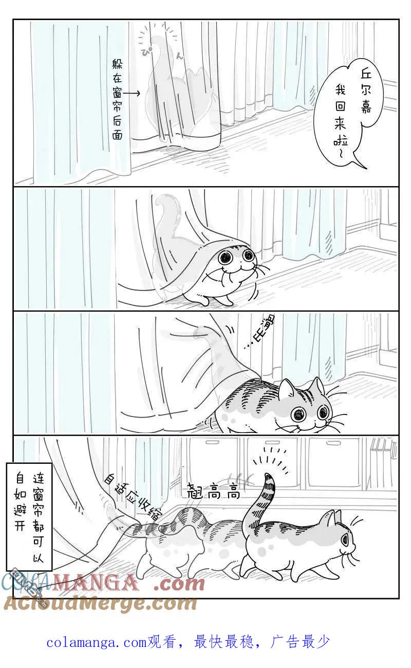 第218话-关于养猫我一直是新手-キュルZ（第2张）