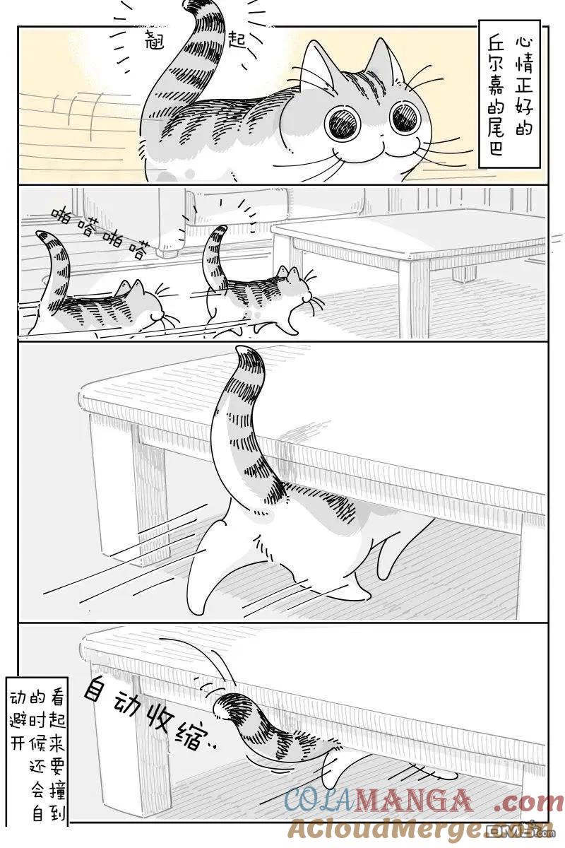 第218话-关于养猫我一直是新手-キュルZ（第1张）