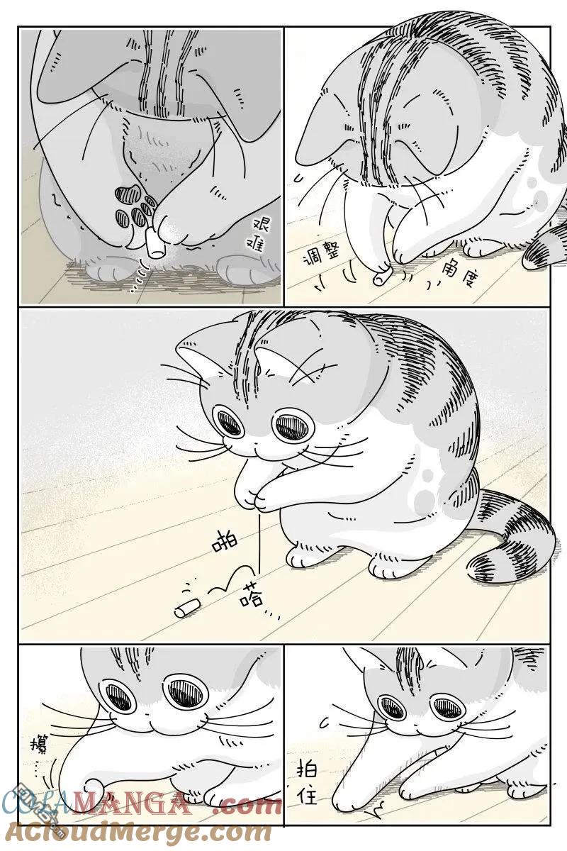 第219话-关于养猫我一直是新手-キュルZ（第1张）