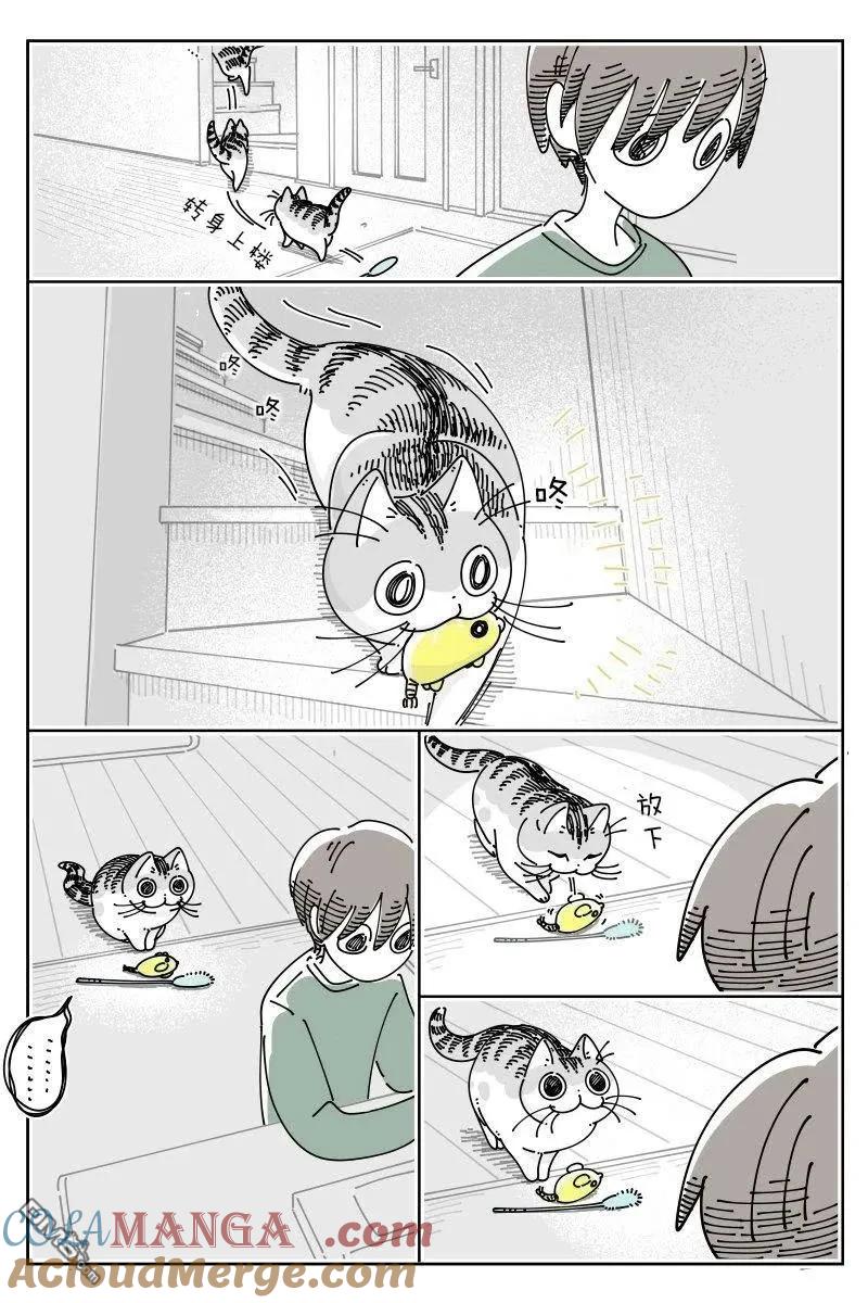 第220话-关于养猫我一直是新手-キュルZ（第1张）