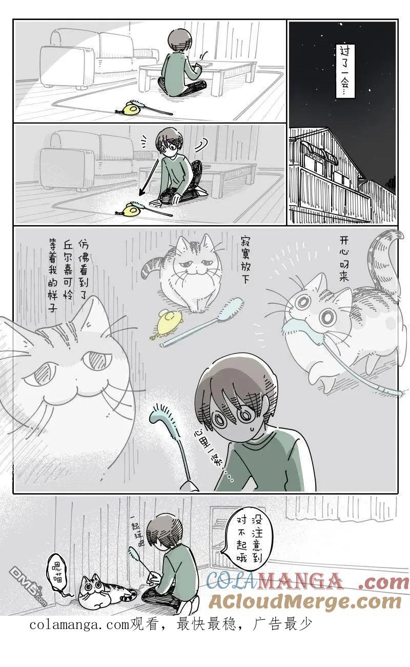 第220话-关于养猫我一直是新手-キュルZ（第2张）
