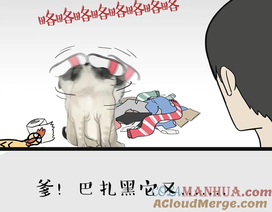 28.jpg