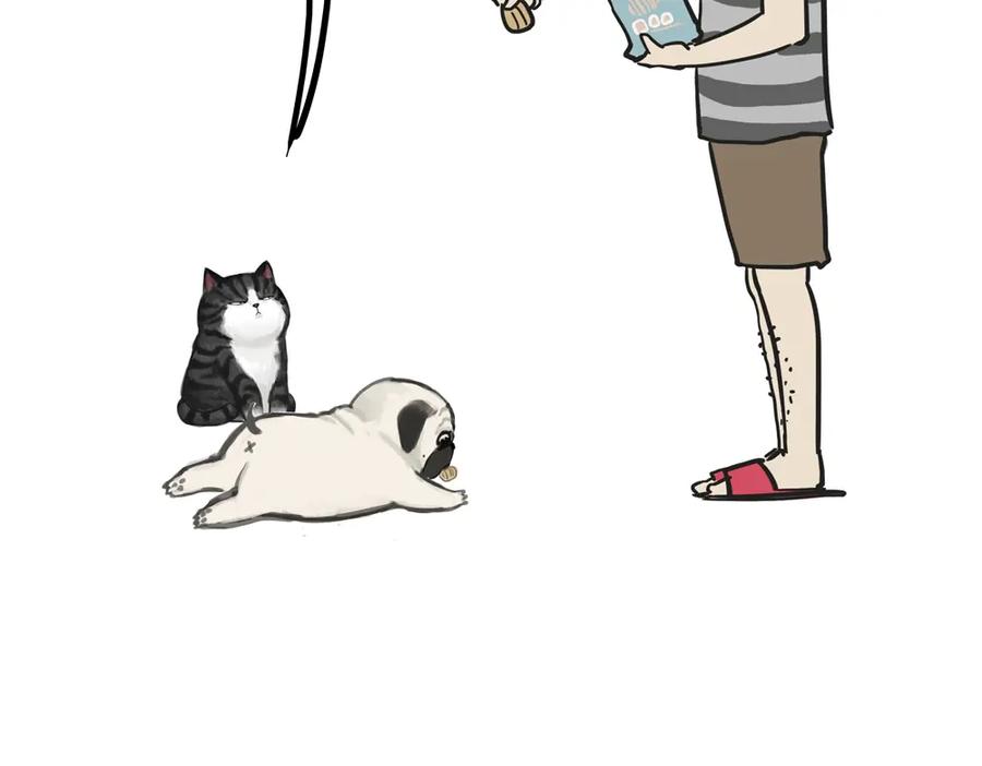 20.jpg