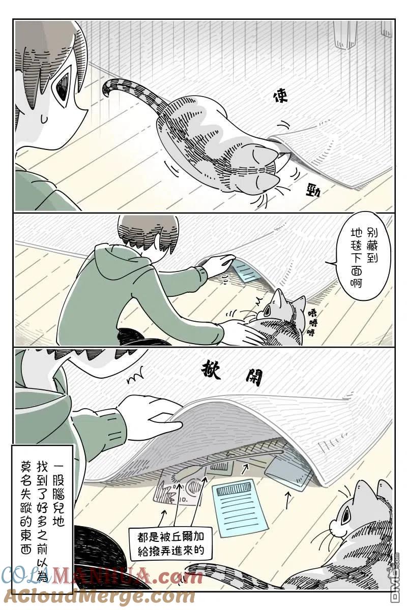 第51话-关于养猫我一直是新手-キュルZ（第1张）