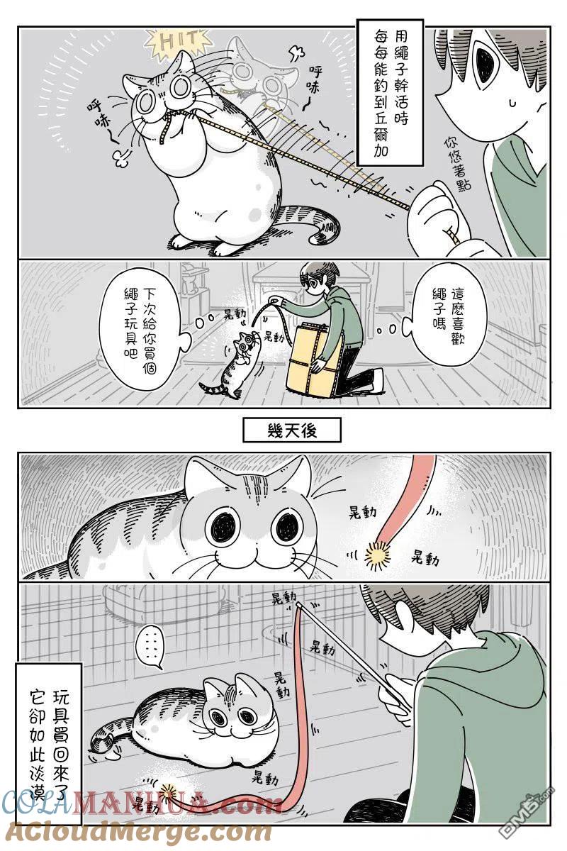 第52话-关于养猫我一直是新手-キュルZ（第1张）
