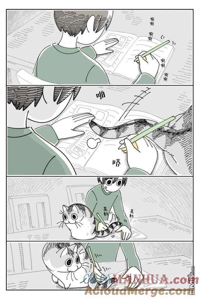 第66话-关于养猫我一直是新手-キュルZ（第2张）