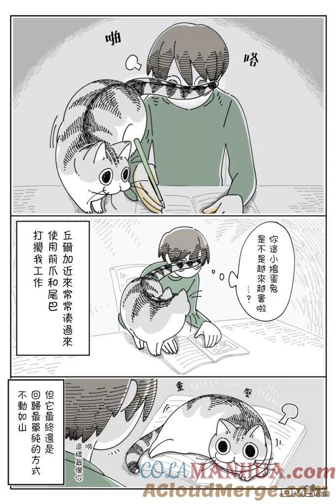 第66话-关于养猫我一直是新手-キュルZ（第3张）
