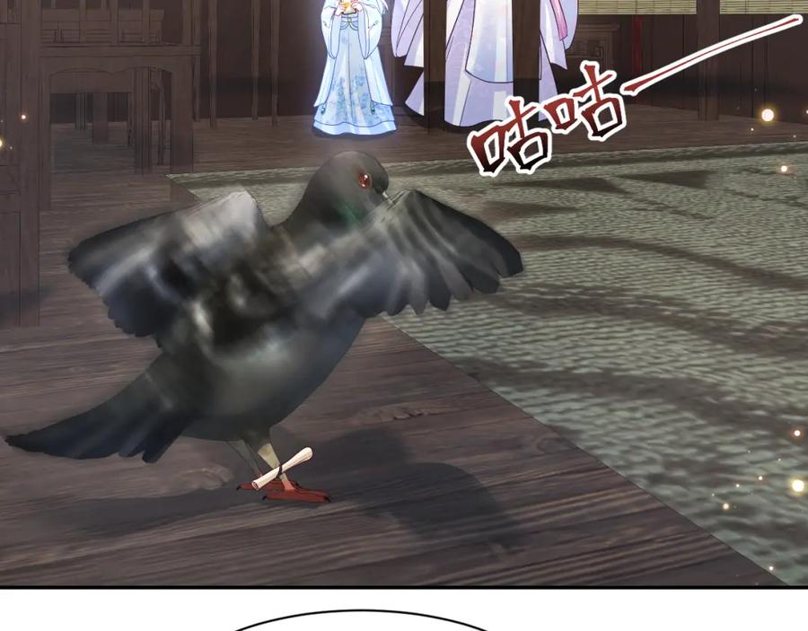 65.jpg