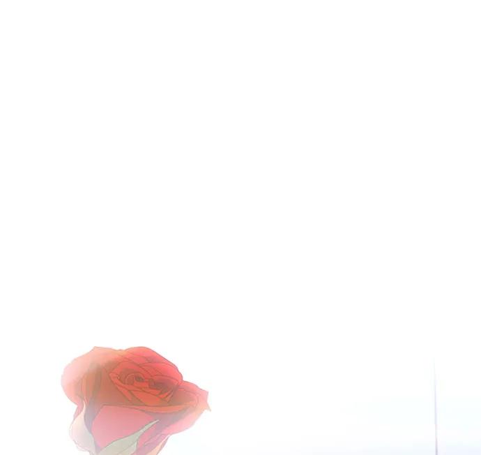 84.jpg