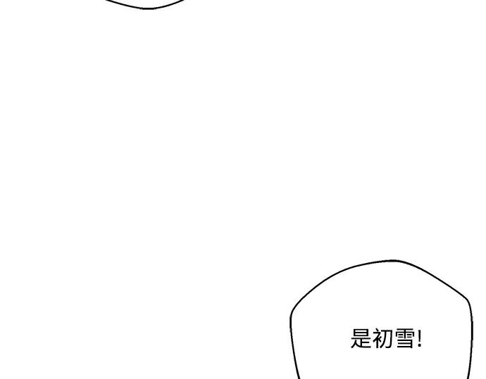 223.jpg