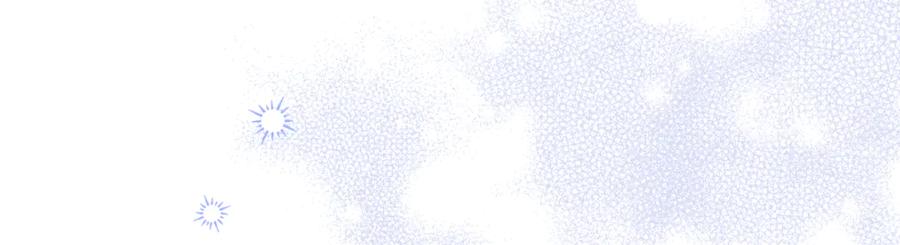 88.jpg