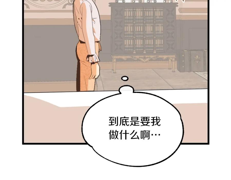231.jpg
