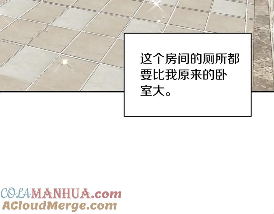 245.jpg