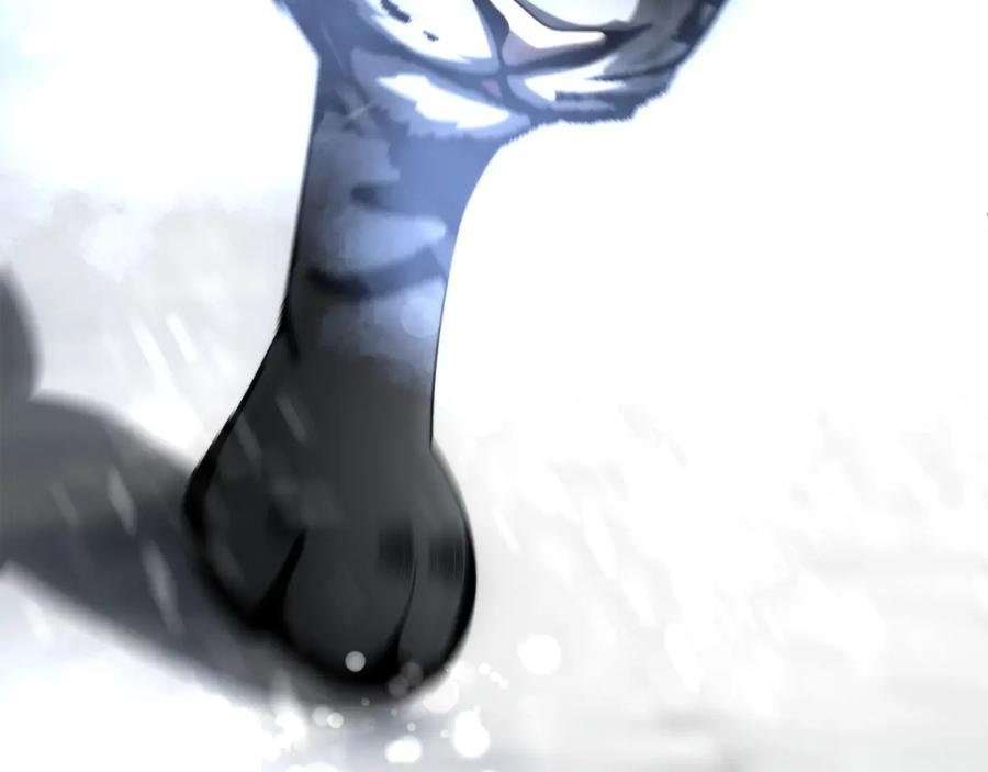 231.jpg