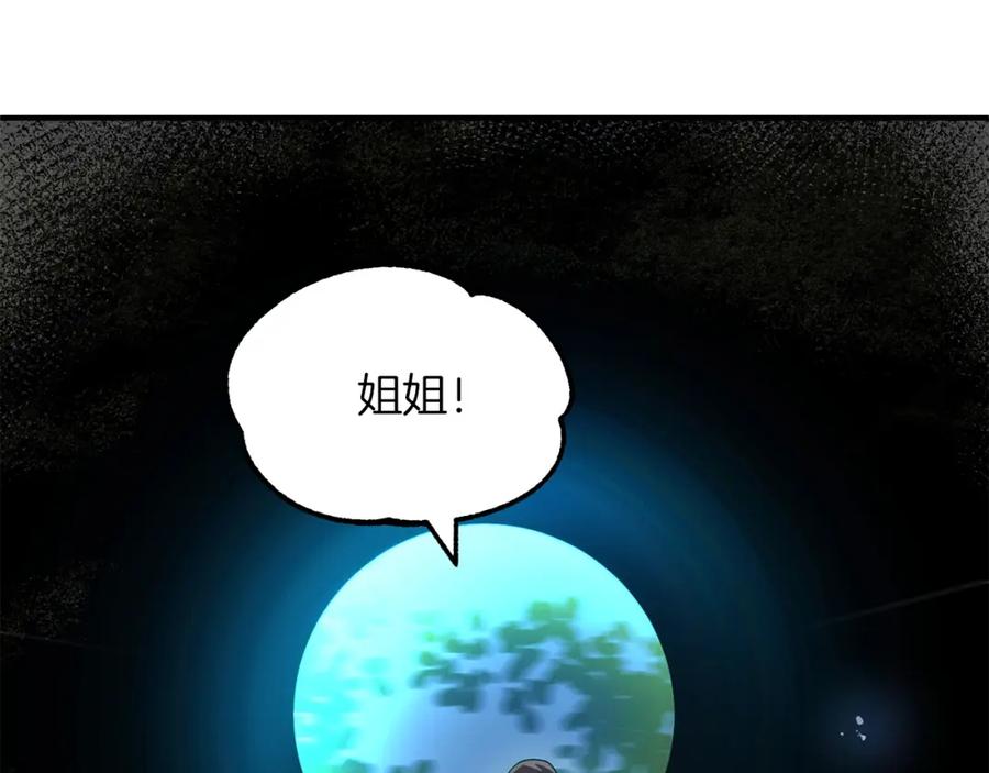 243.jpg